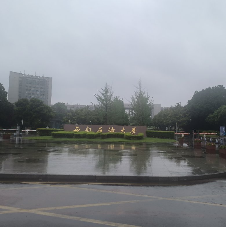 西南石油大学.png