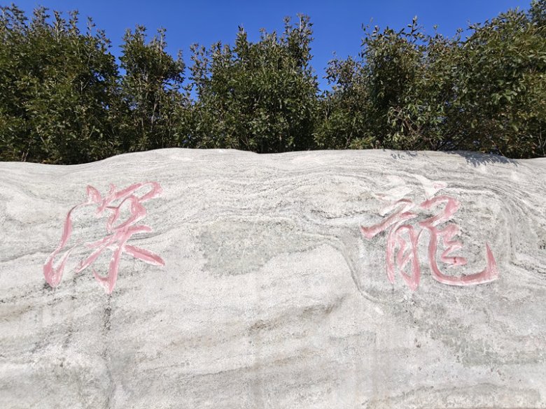 河北深龙医药有限公司.jpg